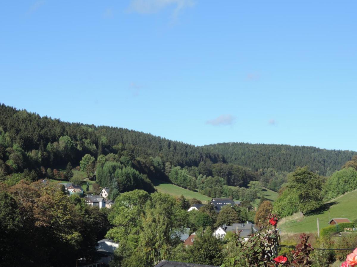 Apartamento Sonnenblick Rittersgrün I Breitenbrunn  Exterior foto