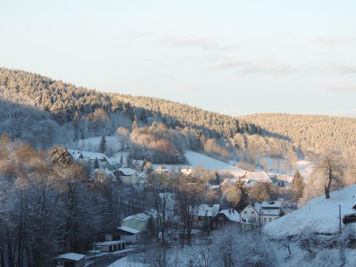 Apartamento Sonnenblick Rittersgrün I Breitenbrunn  Exterior foto
